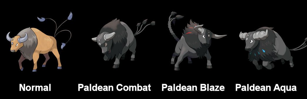 Tauros and Paldean Tauros - Paldean Pokémon